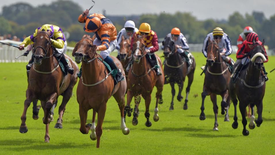 Racing at Ripon